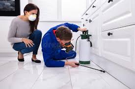 Best Bed Bug Extermination  in Oak View, CA